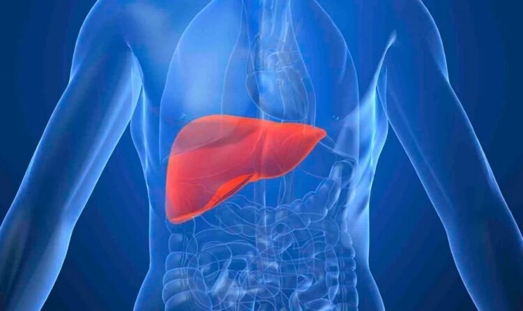 Что такое киста печени?