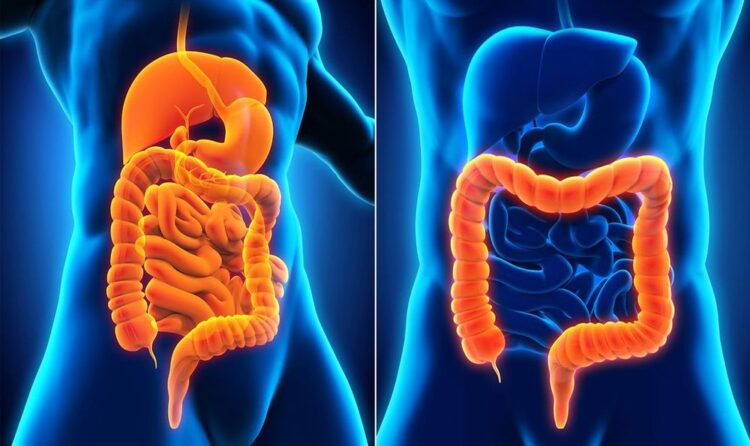 Crohn Hastalığı Belirtileri