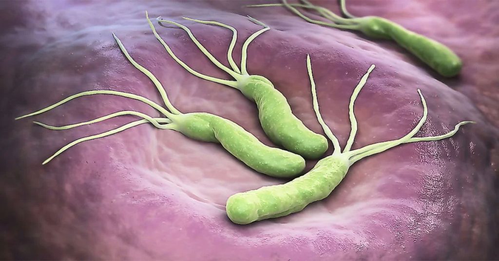 Traitement de l'Helicobacter Pylori