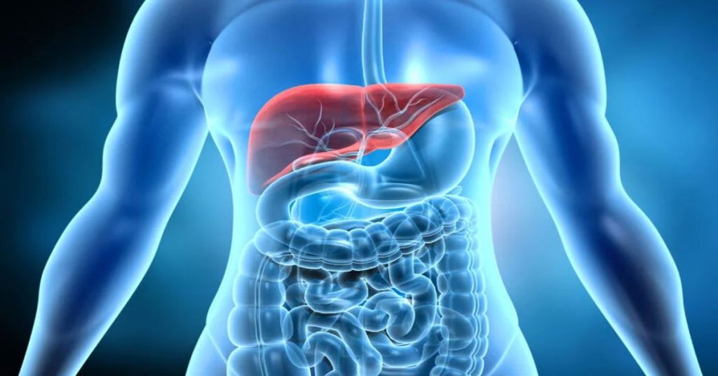 Symptome einer Leberzyste