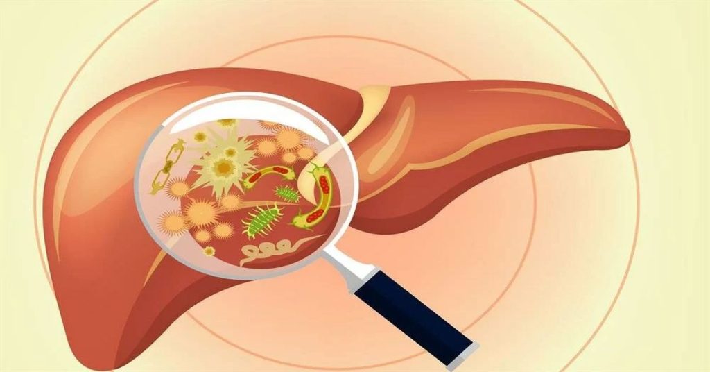 Was ist Autoimmunhepatitis?