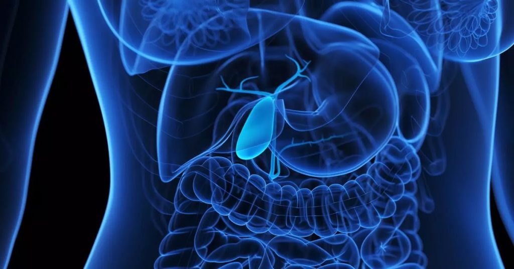 Safra Yolu Enfeksiyonu