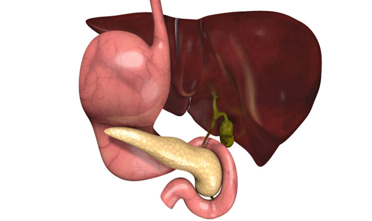 Safra Yolu Enfeksiyonu